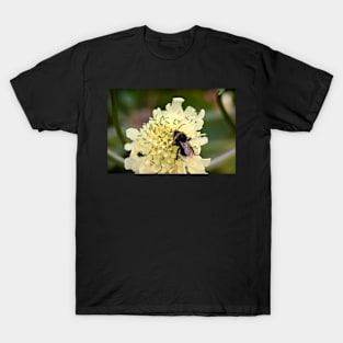 How to Bee Happy T-Shirt